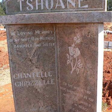 TSHOANE Chantelle Chrizzelle 1961-2010