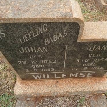 WILLEMSE Johan 1952-1953 :: WILLEMSE Jan 1955-1955