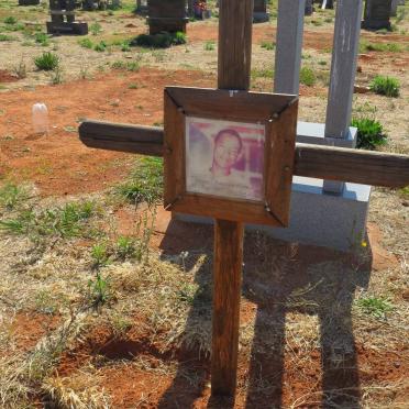 ? Johnny Sebastian 1993-2009