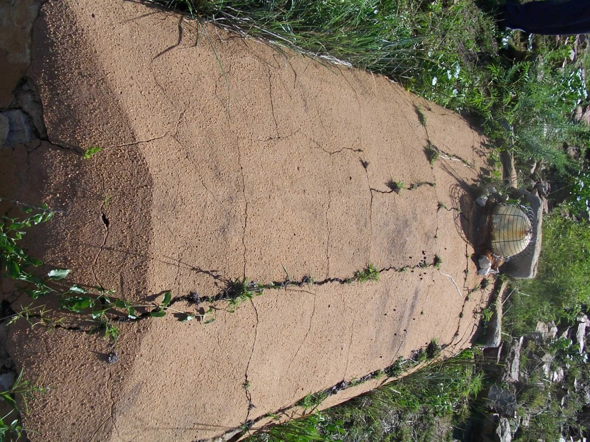 VENTER Hester Magdalena nee PRINSLOO 1871-1902