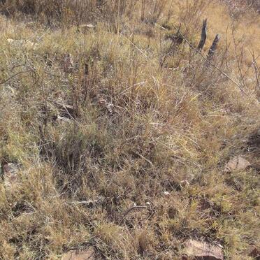 Gauteng, BRONKHORSTSPRUIT district, Witpoort 551_5, farm cemetery