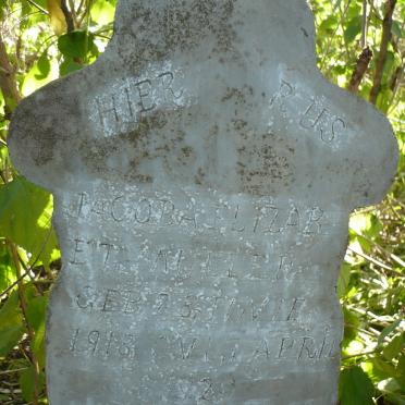 Gauteng, BRONKHORSTSPRUIT district, Zusterstroom 447 JR_1, farm cemetery