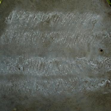 OBERHOLZER Susanna nee DE BRUIN 1856-1928