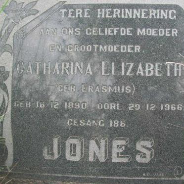 Gauteng, BRONKHORSTSPRUIT district, Tiegerpoort, Boschkop 369, farm cemetery_2