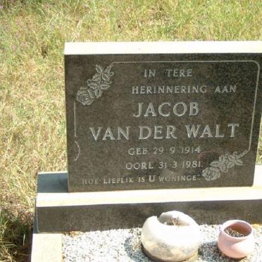 WALT Jacob, van der 1914-1981