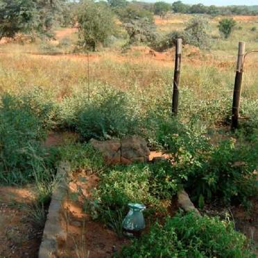 Gauteng, CULLINAN district, De Wagensdrift, farm cemetery