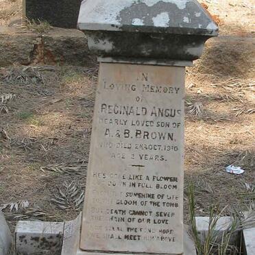 BROWN Reginald Angus -1910