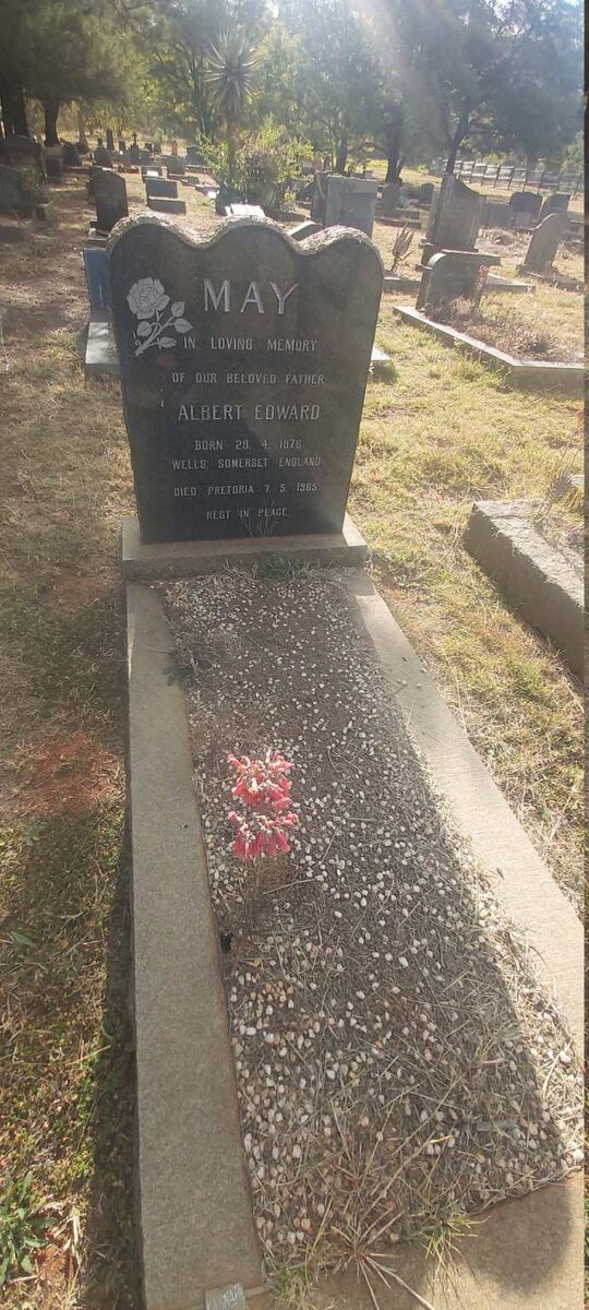 MAY Albert Edward 1876-1965