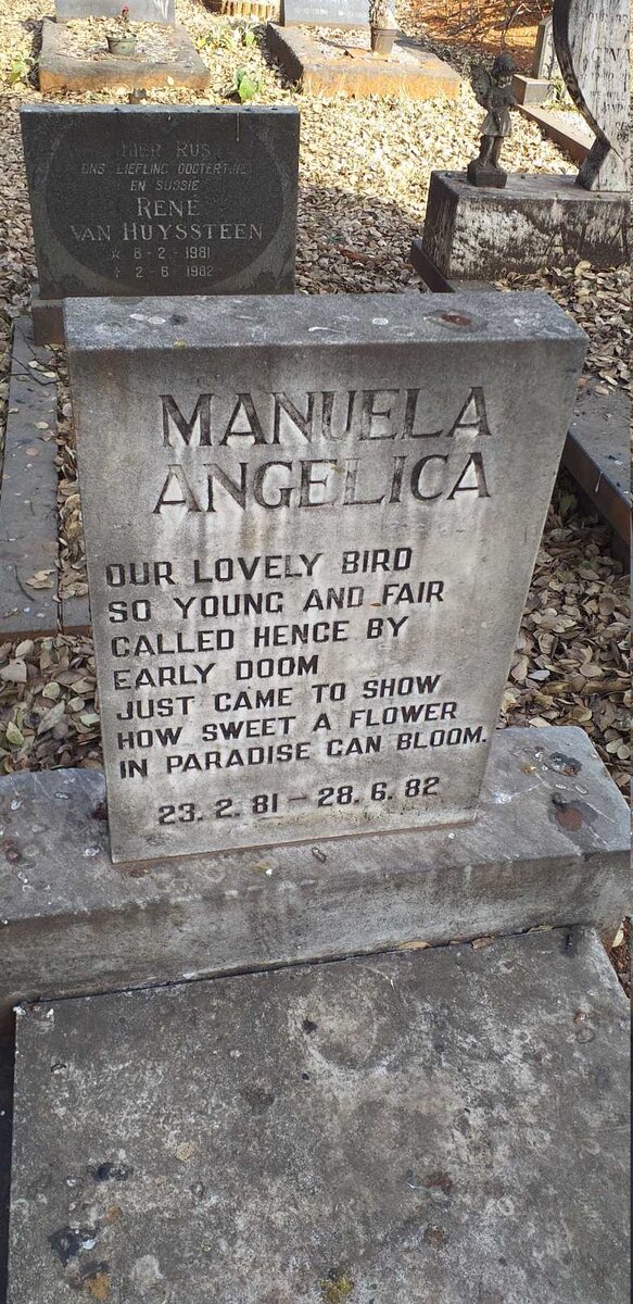 ANGELICA Manuela 1981-1982