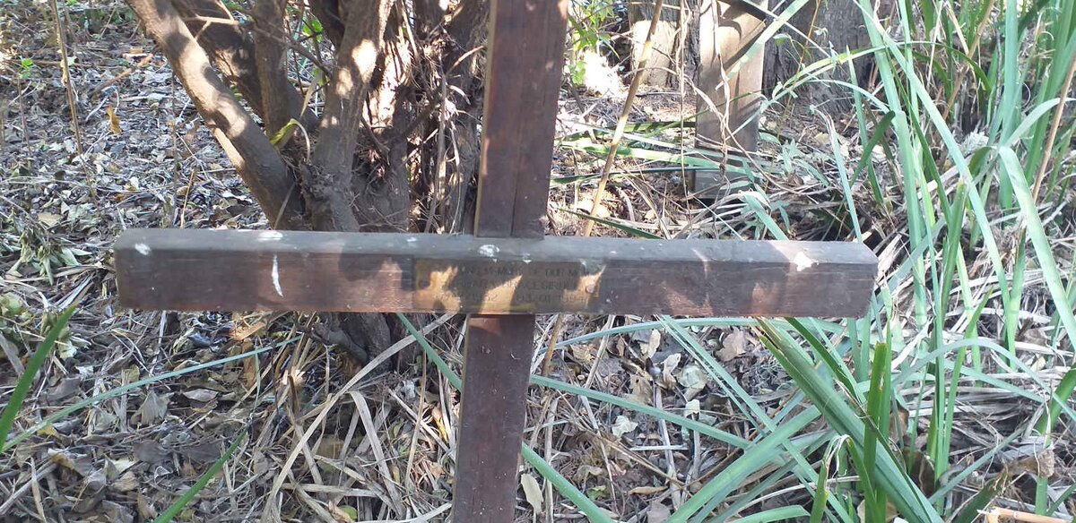 BRACEGIRDLE Barbara 1982-1994