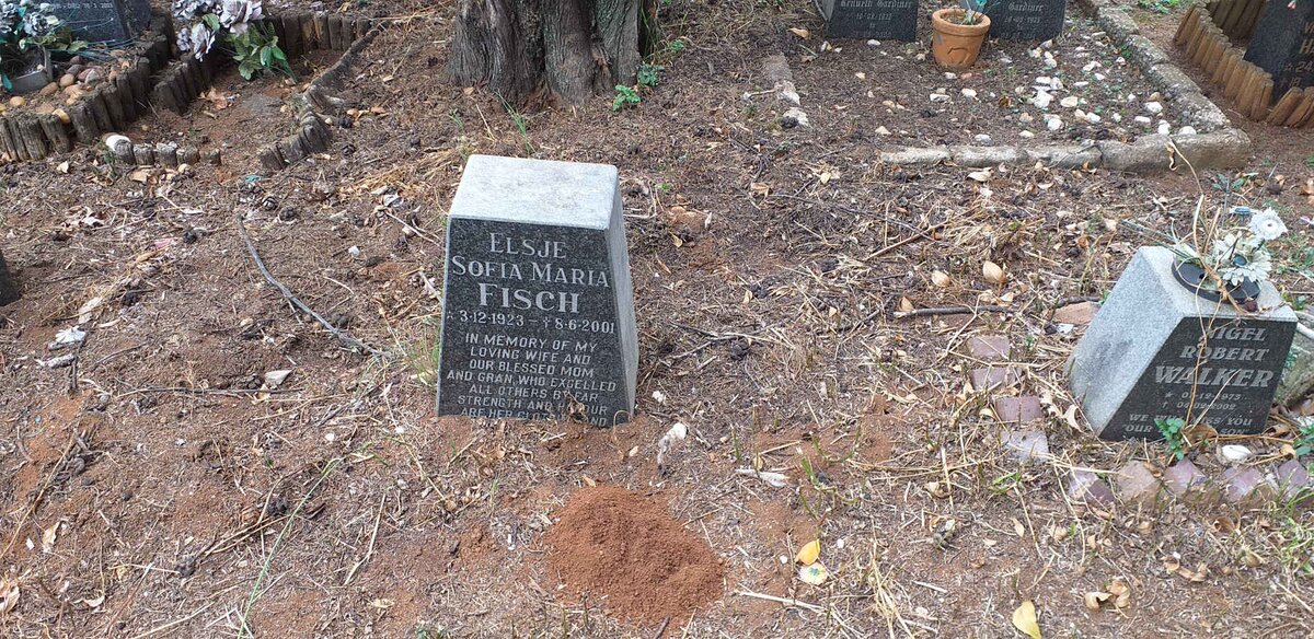 FISCH Elsje Sofia Maria 1923-2001