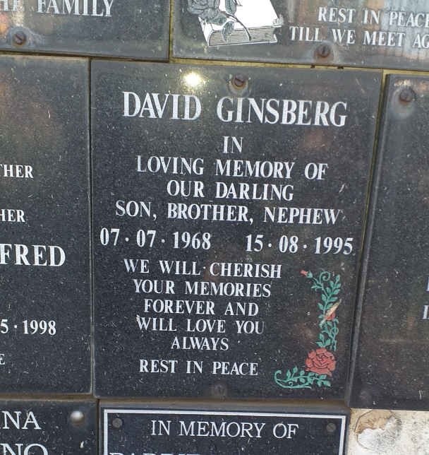 GINSBERG David 1968-1995