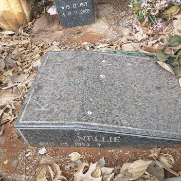 KRUGER Hansie 1952-2006 :: KRUGER Nellie 1954- :: KRUGER Leon 1976-2001 _3