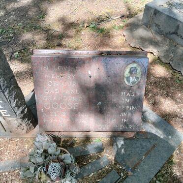 PONTE Goose, de 1928-1994