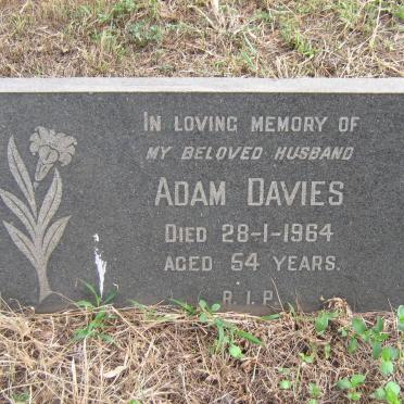 DAVIES Adam -1964