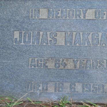 MAKGALE Jonas -1950