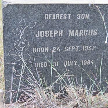 MARCUS Joseph 1952-1964