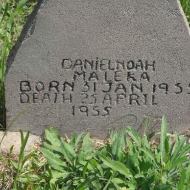 MALEKA Daniel Noah 1955-1955