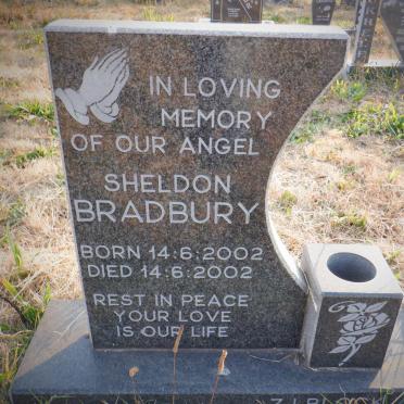 BRADBURY Sheldon 2002-2002
