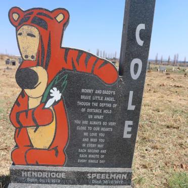 COLE Hendrique Speelman 2010-2012