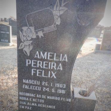 FELIX Amelia Pereira 1903-1981