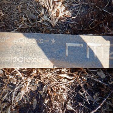 NEL Eugene 1965-1999