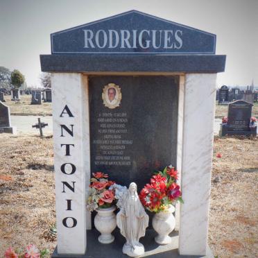 RODRIGUES Antonio 1936-2009