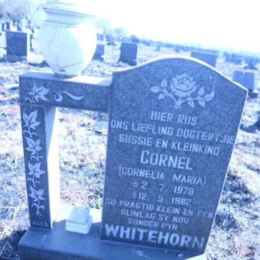 WHITEHORN Cornelia Maria 1978-1982