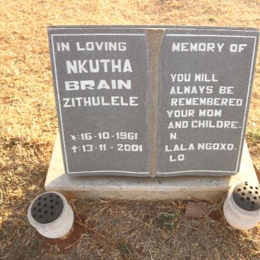 ZITHULELE Nkutha Brain 1961-2001
