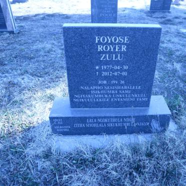 ZULU Foyose Royer 1977-2012