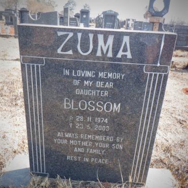 ZUMA Blossom 1974-2003