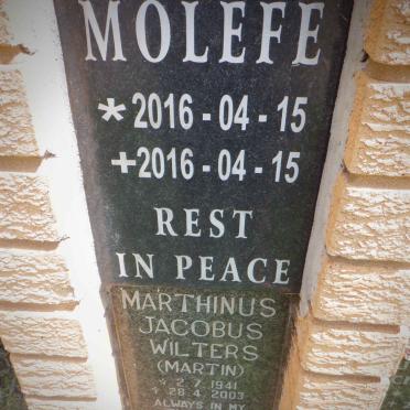 MOLEFE 2016-2016 :: WILTERS Marthinus Jacobus 1941-2003 