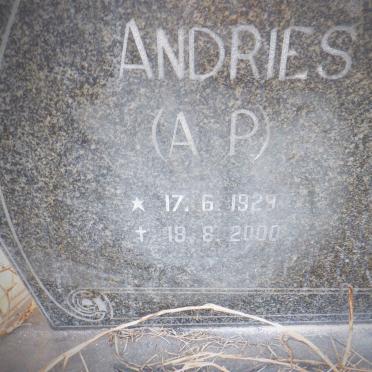 ? Andries A.P. 1929-2000