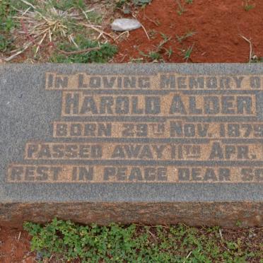 ALDER Harold 1879-1945