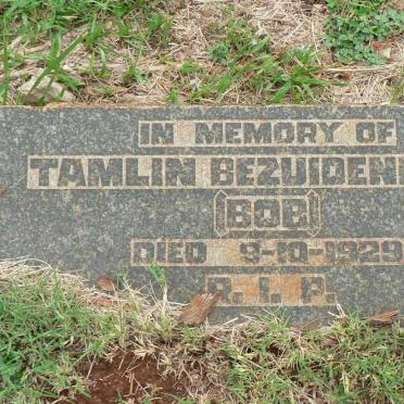 BEZUIDENHOUT Tamlin -1929