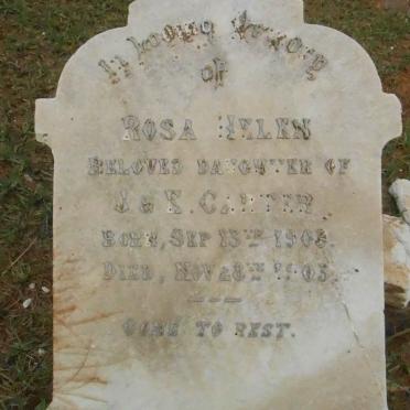 CARTER Rosa Helen 1903-1903