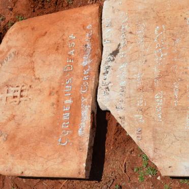 DEASY Cornelius -1903