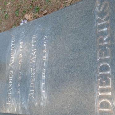 DIEDERIKS Johannes Albertus 1947-1969 :: DIEDERIKS Albert Walter 1957-1975