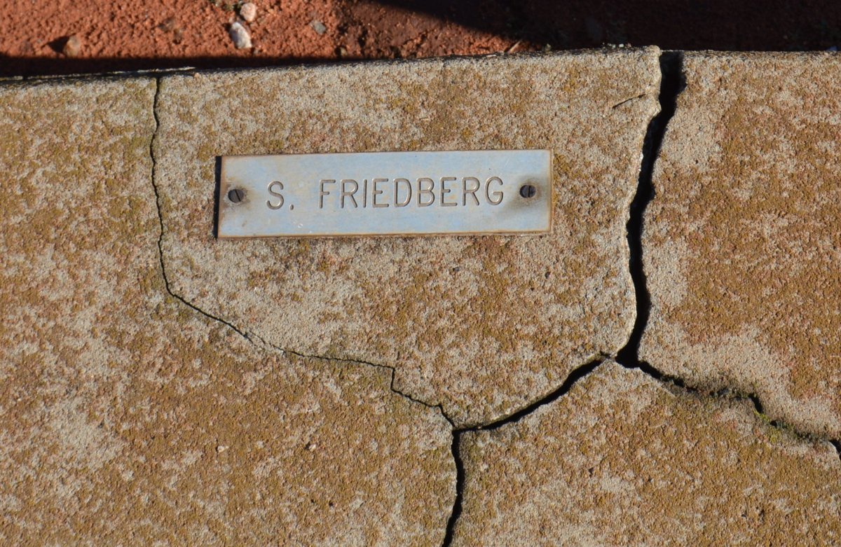 FRIEDBERG S.