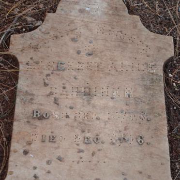 GARDINER Margaret Alice 1896-1906