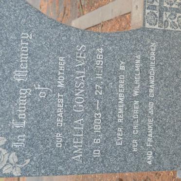 GONSALVES Amelia 1903-1964
