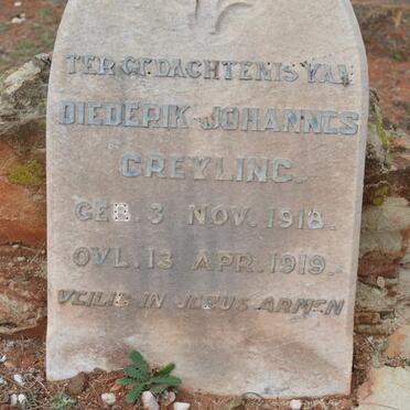 GREYLING Diederik Johannes 1918-1919