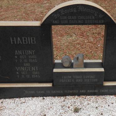 HABIB Antony 1945-1945 :: HABIB Vincent 1945-1945 :: HABIB Patrick 1947-1948