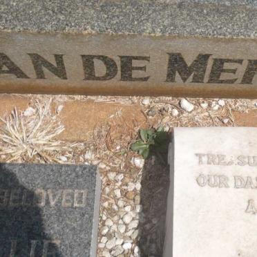 MERWE, van de