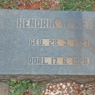 MEYER Hendrik W. 1927-1928 