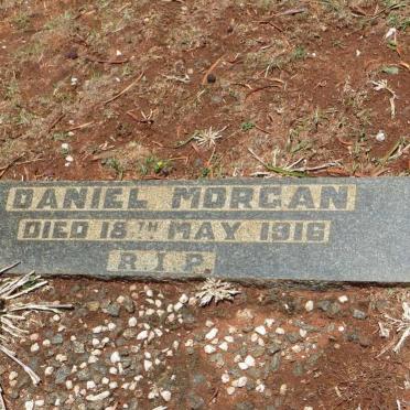 MORGAN Daniel -1916