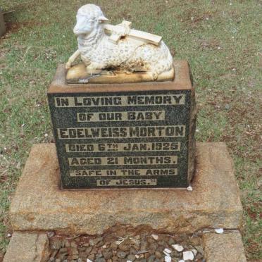 MORTON Edelweiss -1925