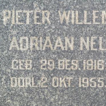NEL Pieter Willem Adriaan 1916-1955