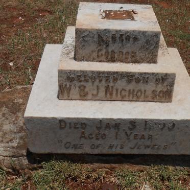 NICHOLSON Albert Gordon -1909