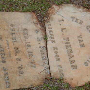 PIENAAR I.L. 1907-1909